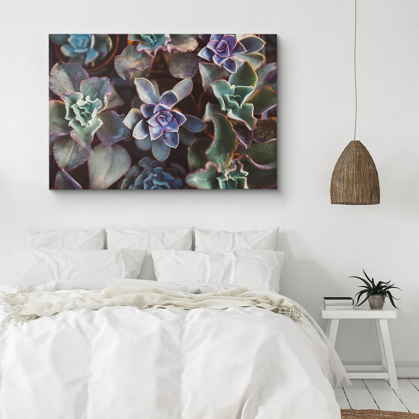 SIGNFORD Canvas Print Wall Art Green & Purple Echeveria Succulent Array Floral Plants Photography Realism Southwest Relax/Calm Multicolor Ultra for Living Room, Bedroom, Office - 32"x48"