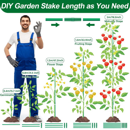 Qinzave 256PCS Garden Stakes Set with 75PCS 16 Inch Fiberglass Plant Sticks and Stake Arms, DIY 4ft 5ft 6ft 7ft 8ft Tomato Stakes, Garden Stakes for Vegetables Tomato Pepper Indoor Outdoor Plants