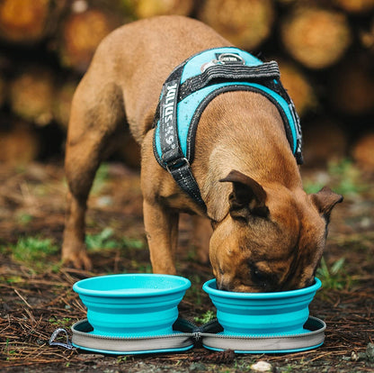 Colapz Collapsible Dog Bowls with Travel Case – Foldable Silicone Pet Feeding & Water Bowls for Travel, Camping & Hiking – Charcoal Grey