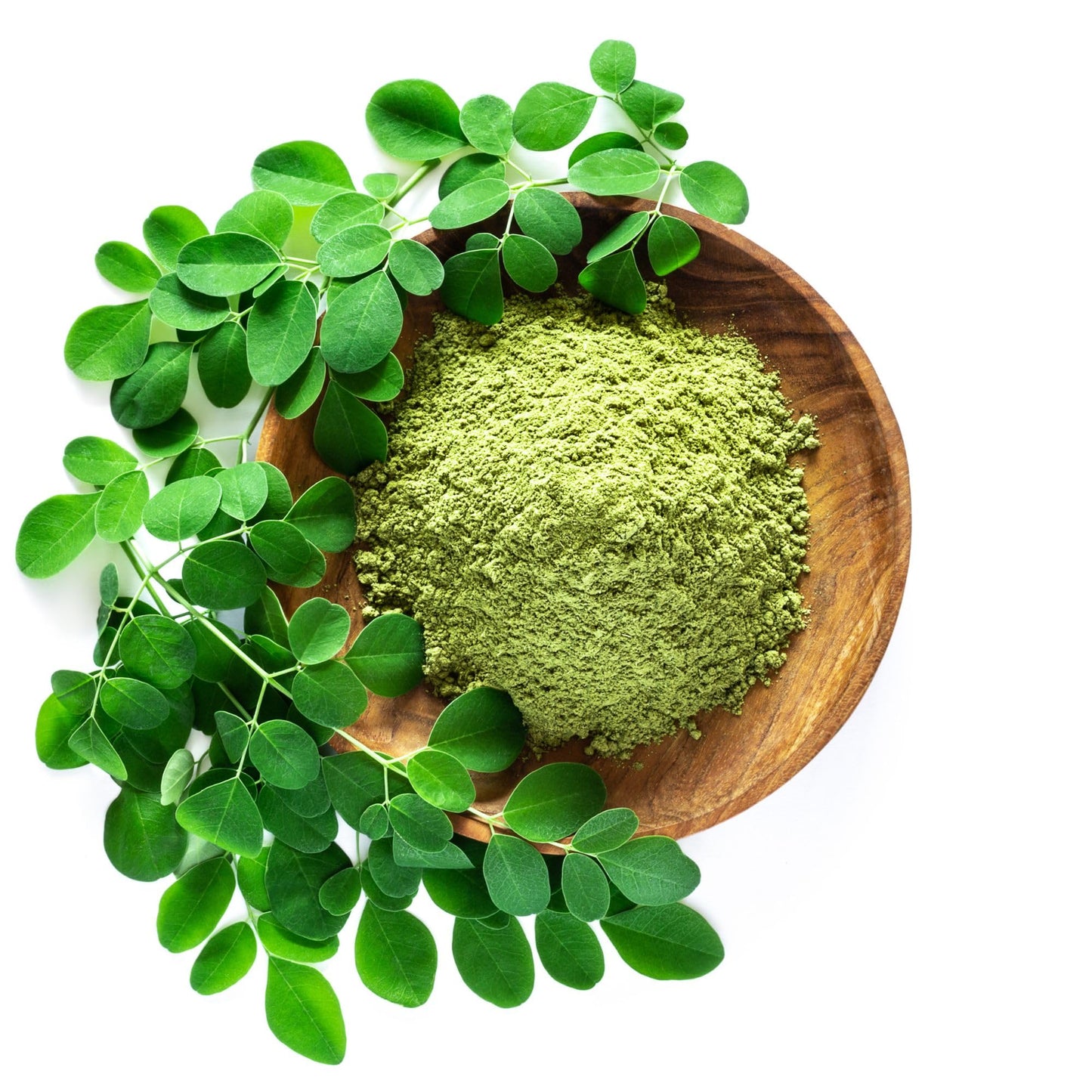 Moringa Seeds for Planting - 10 g Packet ~30 Seeds - Grow Moringa Seeds to Eat - Moringa Plant Tree Seedlings - The Tree of Life, Moringa Oleifera