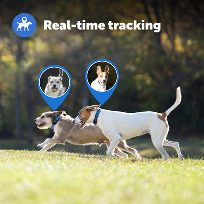 PetSafe Guardian GPS + Tracking Dog Fence Collar Pet Safe GPS Dog Collar Fence System, with App Waterproof Rechargeable Collar, Tracking for Dogs (Blue, Grey)
