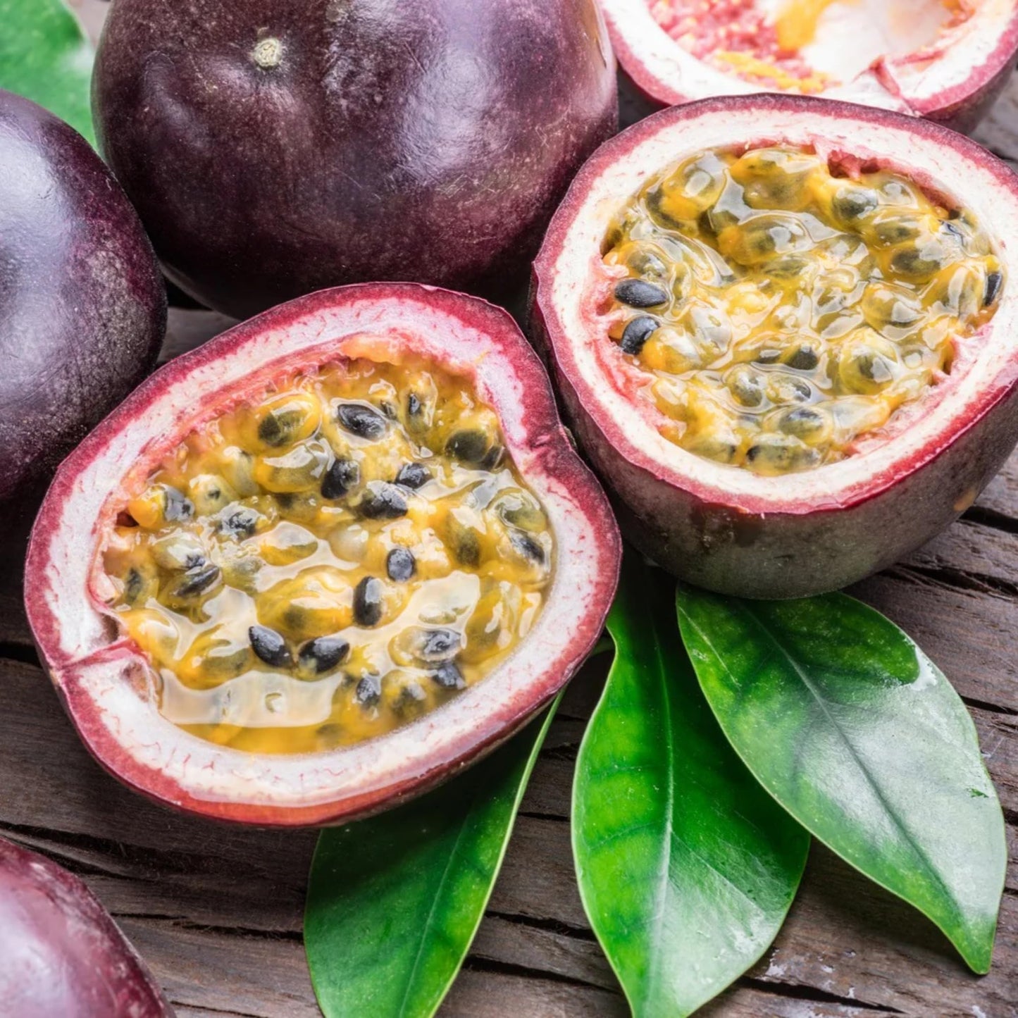 22+ Passion Fruit Seeds for Planting - Passion Seeds Passiflora Giant Granadilla Grow Your Own Plant Gardening Gift
