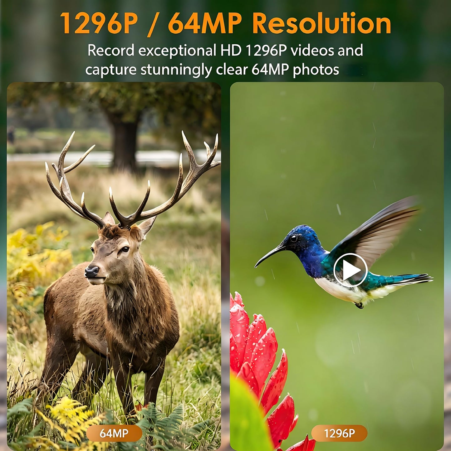 4-Pack Game & Trail Camera, 64MP 1296P H.264 MP4 Video Cam with 940nm No Glow Night Vision Motion Activated IP66 Waterproof for Outdoor Wildlife Monitoring, Yard Security, Animal Observation