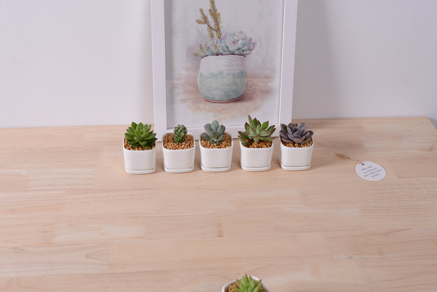SeaStar Ceramic Succulent Mini Planter Pot,Mini 6 Set 2x1.65x2inch Square Modern Minimalist White/Window Box with Saucer for Office,Desk,House Balcony Landscape