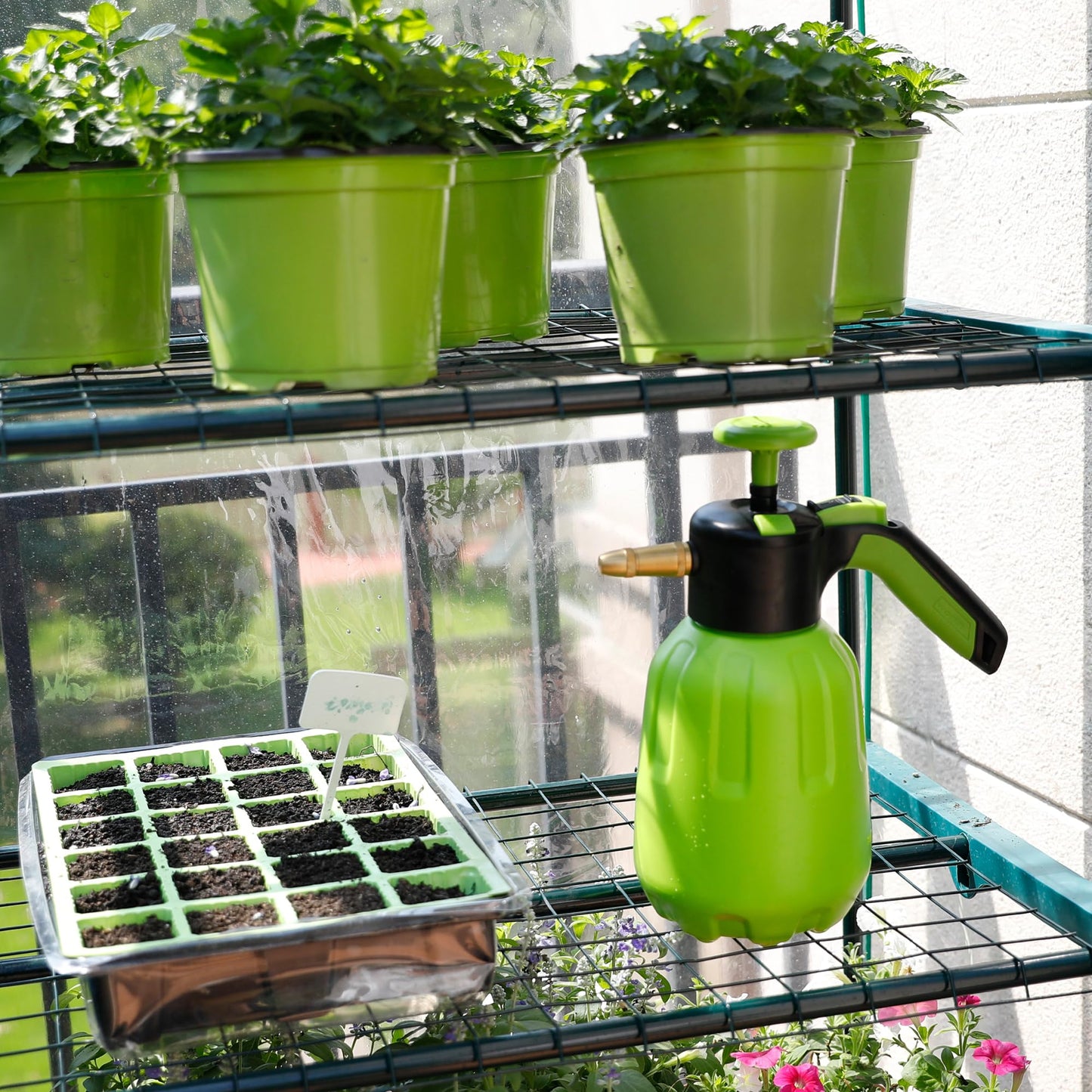 Greens Word Small Greenhouse for Outdoors, Indoor Mini Greenhouse with Plastic Cover, Portable 5 Tier Plant Shelves, Green Houses for Outside Backyard, Winter Plants Warmer, Green, 19″x40″x75″