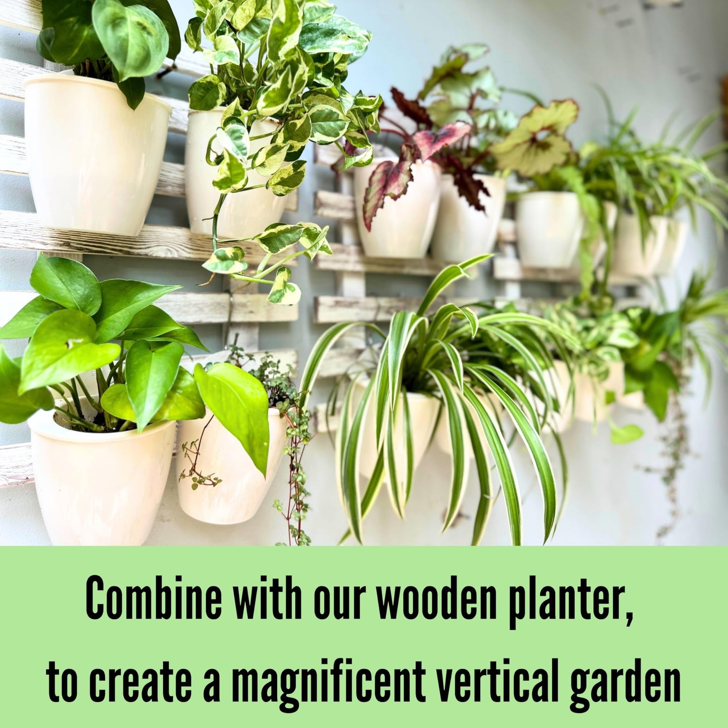 LáLáGreen Wall Planters for Indoor Plants - 10 Pack, 4 Inch Self Watering Planters and Pots, White Wall Mount Planter Plant Holder, Modern Hydroponic Wall Pots Vertical Living Plant Garden Decor