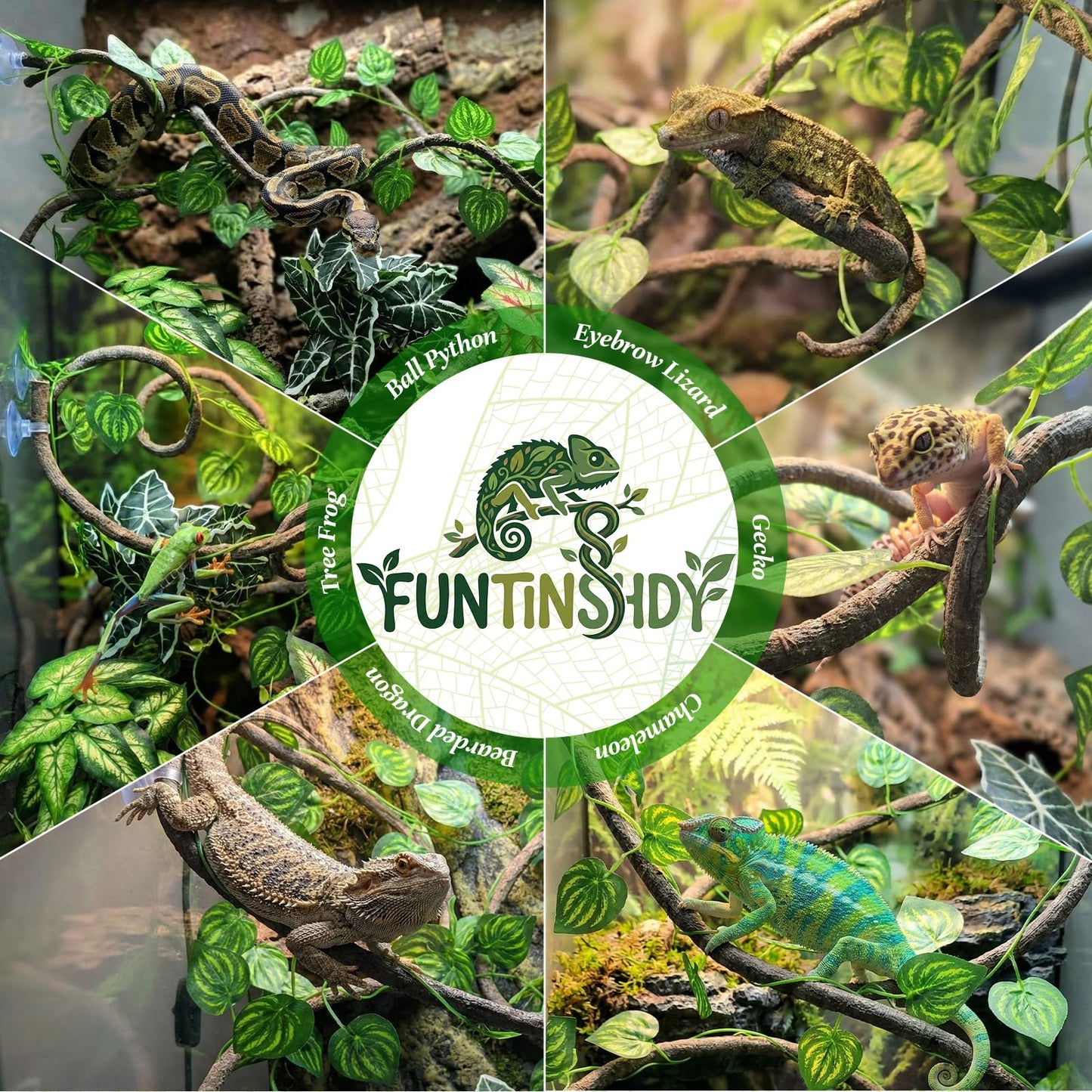 5 Pcs Reptile Plants & Habitat Decor Kit - 3 Artificial Plants & Large 3.3ft Jungle Vine Branch, TTerrarium Hanging Plants Vines for Crested Gecko, Leopard,Bearded Dragon, Lizard,Chameleon,Ball Python