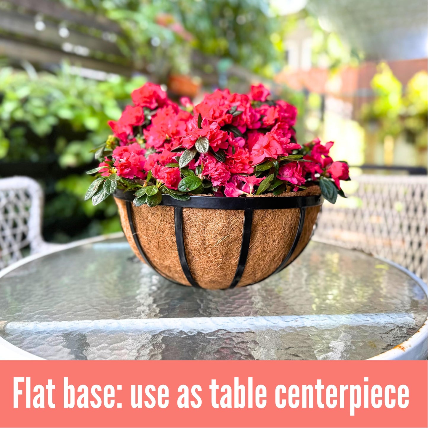LaLaGreen Outdoor Hanging Baskets for Plants (20 Inch, 4 Pack) Extra Large Black Metal Flat Iron Hanging Planter with Coco Liner Round Flower Pot Holder Deck Porch Modern Garden Balcony Rustic Decor
