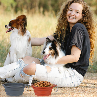 SLSON 2Pack Collapsible Dog Bowl,Integrated Molding Travel Bowl No Plastic Rim Pet Feeding Bowls for Walking Traveling Outdoors,600ML (Navy Blue+Dark Green)