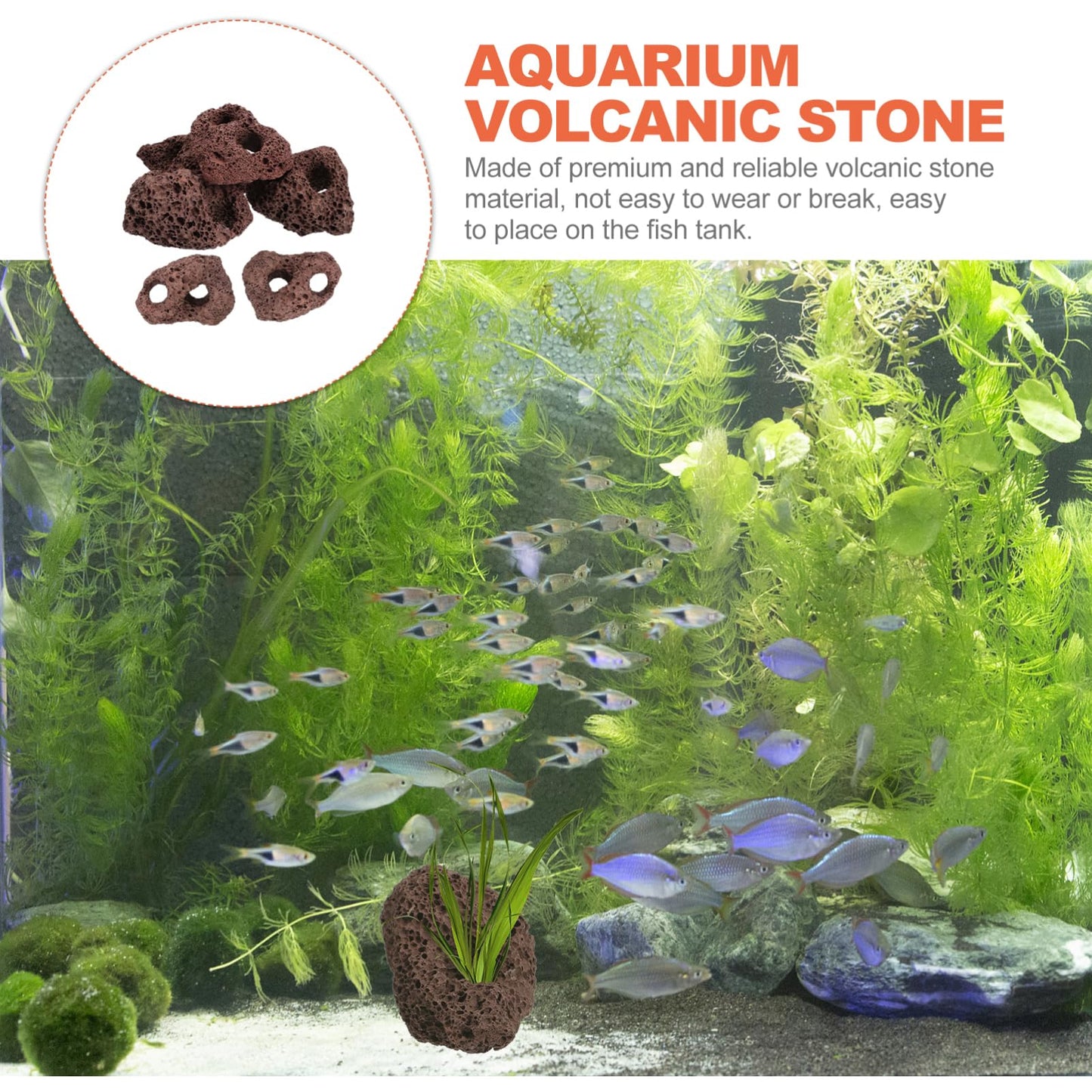 DOITOOL Lava Rock Aquarium 6pcs Volcanic Rocks Small Dark Brown Volcanic Pumice Stones, Aquarium Stones Aquascaping for Fish Tank Decoration, 3.93x2.75x1.57inch