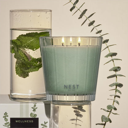 NEST New York Scented 3-Wick Candle, Wild Mint & Eucalyptus - 21.2 oz - Up to 100-Hour Burn Time - Reusable Glass Vessel