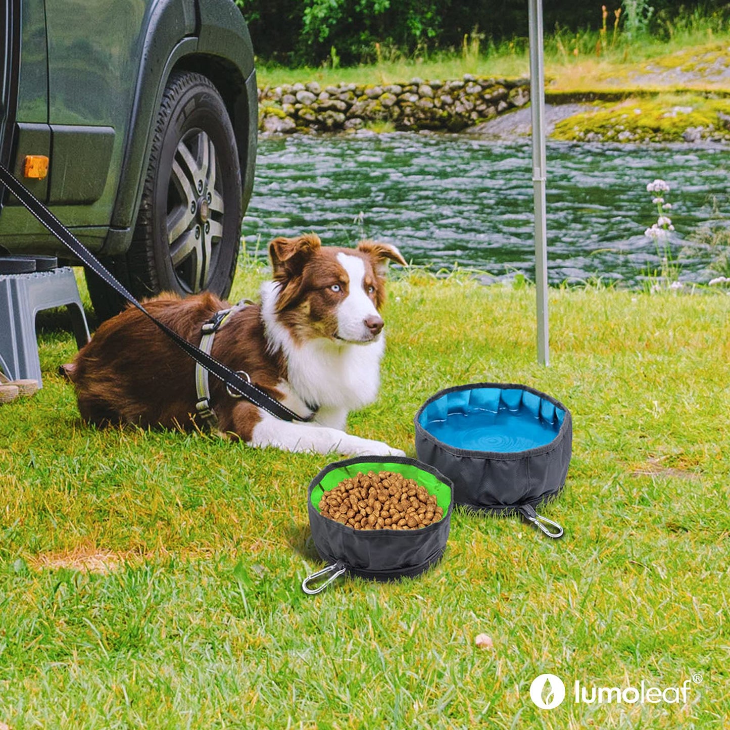LumoLeaf Collapsible Dog Travel Bowl, 2 Packs Large 68oz/80oz Lightweight Foldable Bowl, Water and Food Bowls for Pets Dogs Cats with Zipper (8+10 Cups)