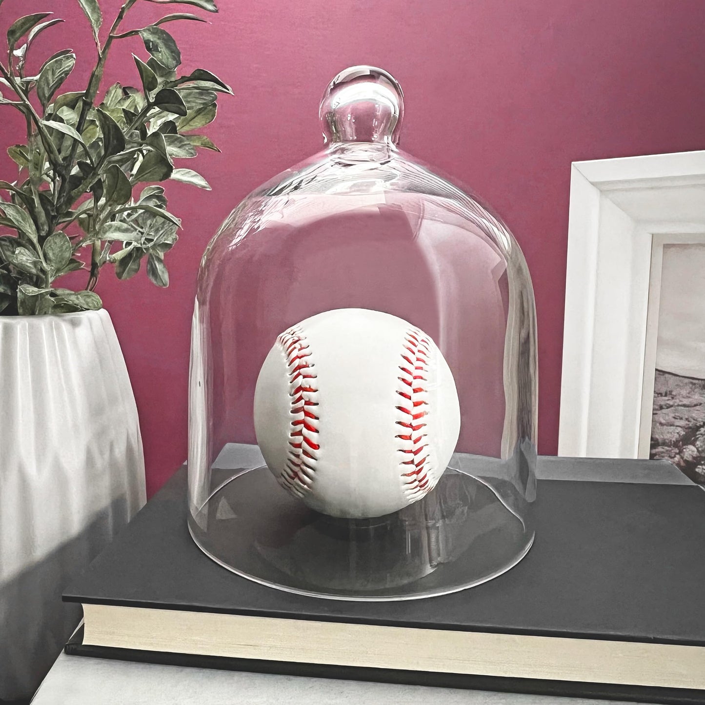 Plymor 5" x 6" Bell Jar Glass Display Dome Cloche (Interior Size 4.75" x 4.5")