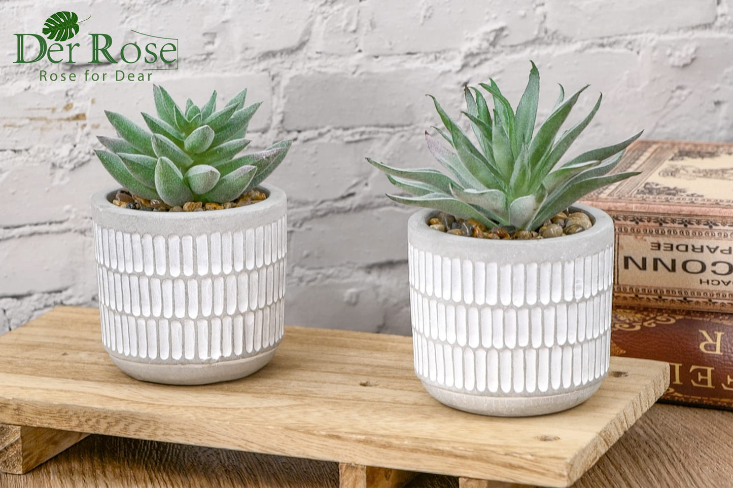 Der Rose Set of 2 Succulents Plants Artificial Fake Cactus Plants for Living Room Bathroom Bedroom Aesthetic Home Shelf Decor
