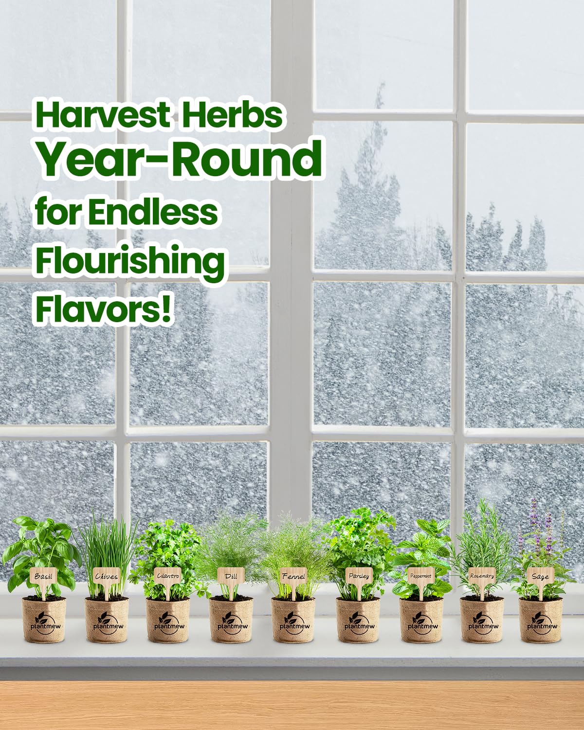 Gift for Women, Mom, Her – 9 Herb Indoor Window Garden Kit | Complete Herb Seeds Starter Set with Pots, Soil, Tools & Markers | Heirloom Herbs | Birthday, Housewarming, New Home, Mother's Day