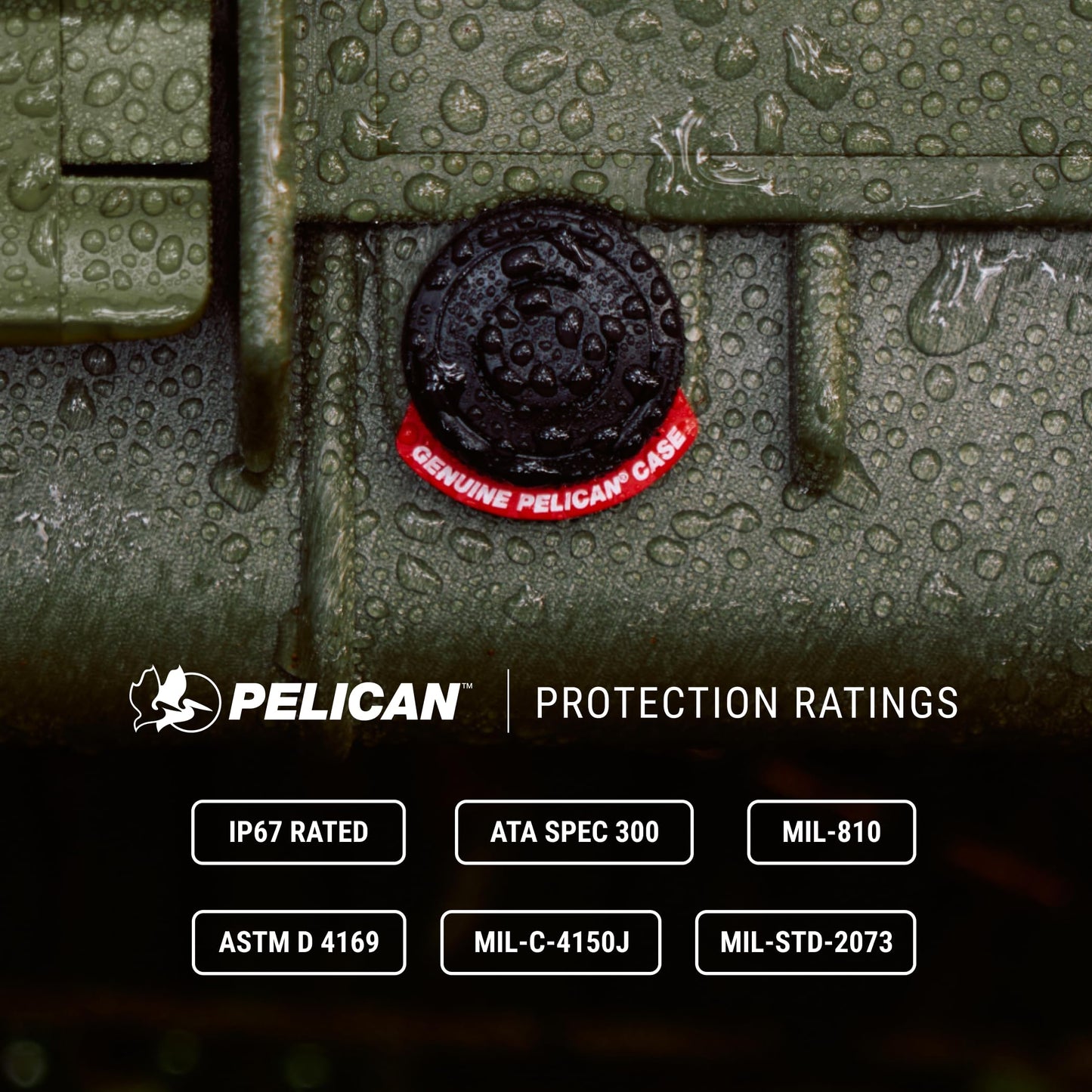 Pelican 1650 Case With Foam (Black)