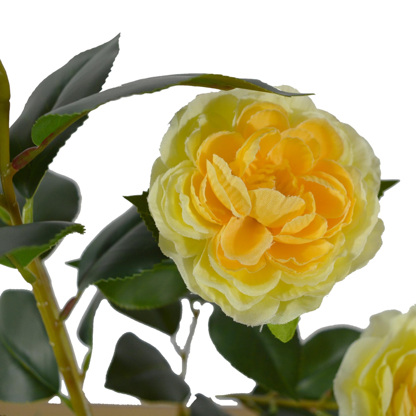 Warmplants Artificial Camellia Tree 3ft, Fake Plant in White Pot, Faux Camellia Silk Flower Potted Tree for Indoor Outdoor Home Livingroom Office Decor (Yellow)