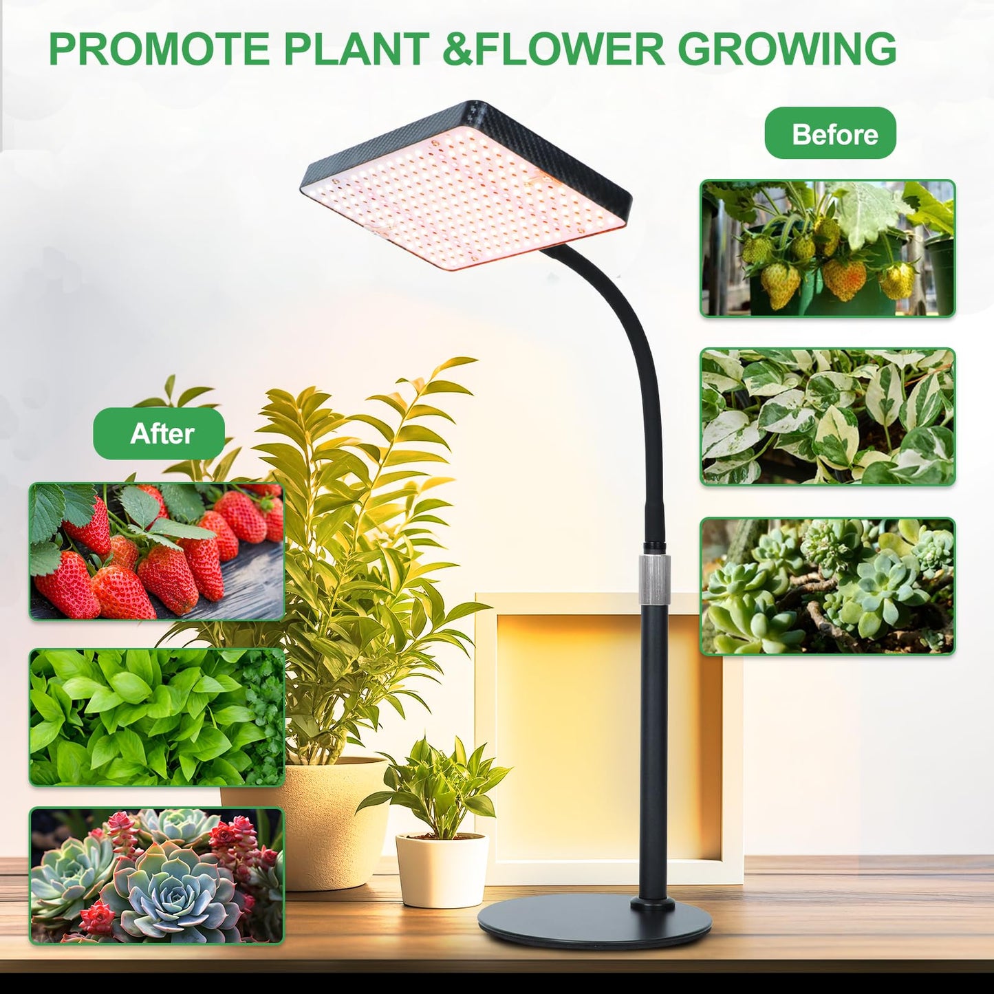 FRGROW 2026 Tabletop Grow Lights for Indoor Plants, Seed Starting, Bonsai, 4/8/12/16/20H Timer, 25 Watt Power Draw, Bright Enough Like A Small Sun, Daisy Chain Function, 16"-24" Height Adjustable