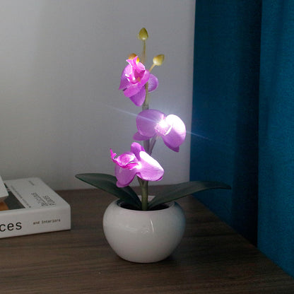 Naimo Phalaenopsis Night Light Rechargeable LED Night Lamp Flower Table Lamp for Bedroom Living Room Birthday Party Desktop Home Decor