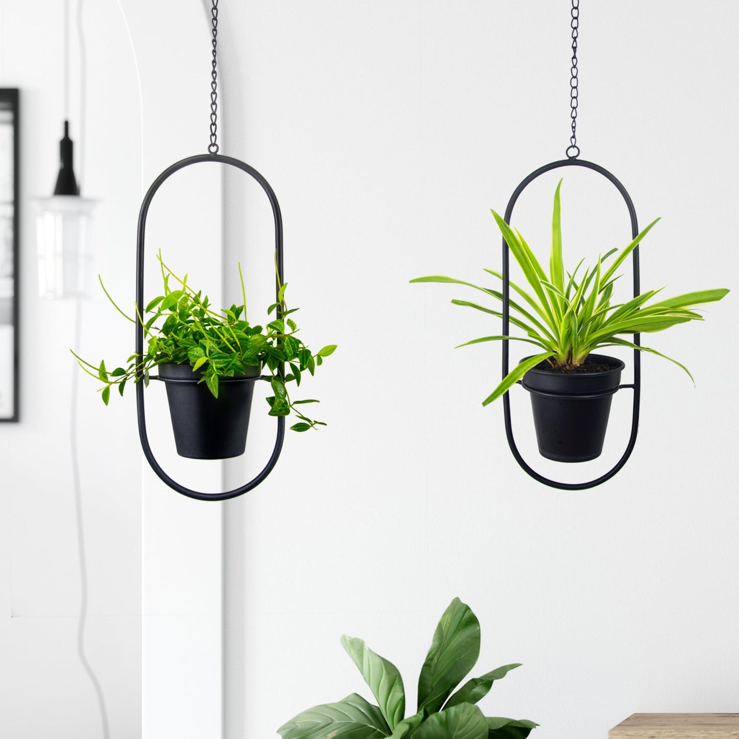 HemePaha Modern Metal Hanging Planters with 5 Inch Pots - Set of 2 Oval Geometric Plant Hangers - Black Wall and Ceiling Mount Flower Holders for Indoor and Covered Outdoor Houseplants