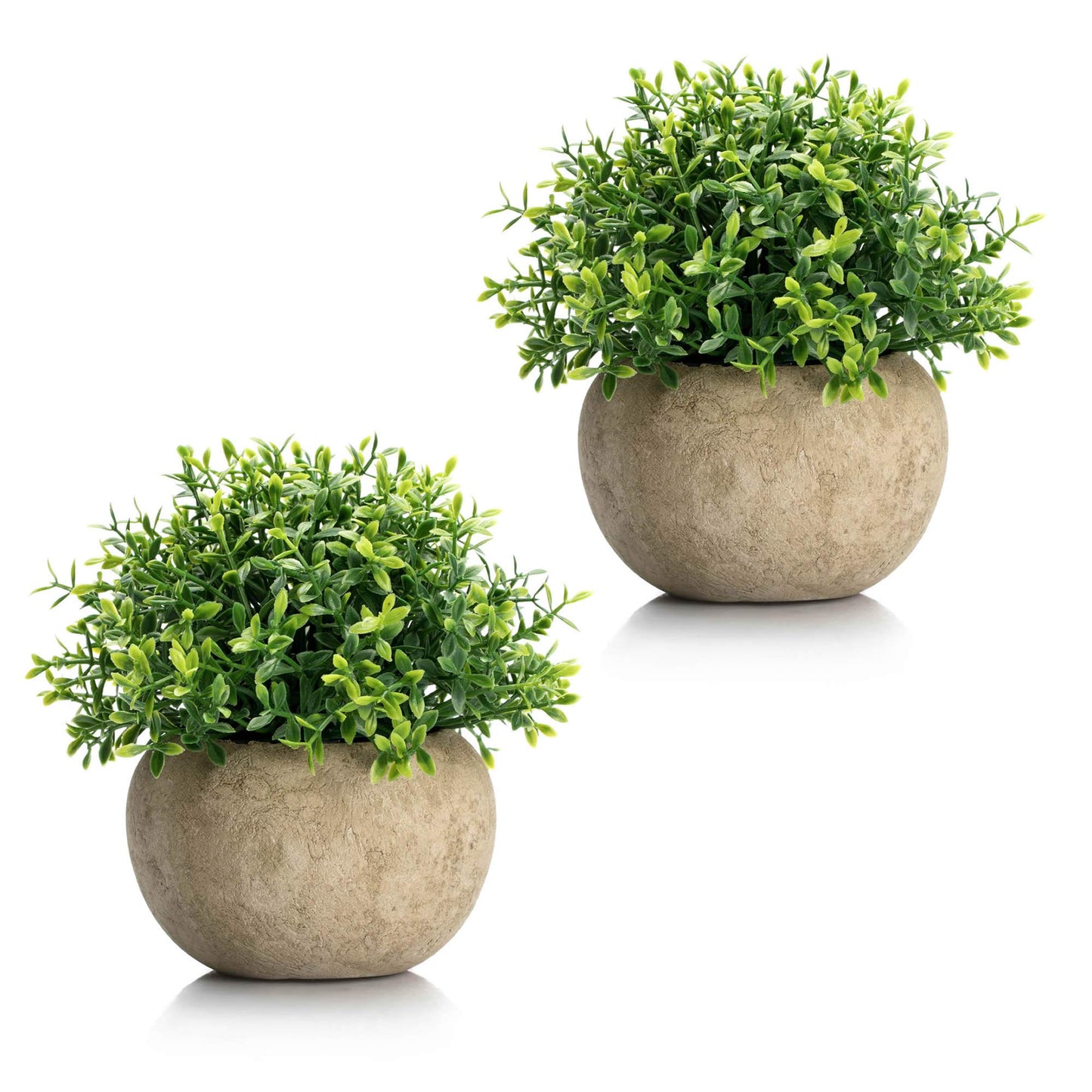 Velener 2Pcs Mini Artificial Boxwood Topiary Faux Plants Indoor- Small Fake Plants Decor Magnolia Home Office Desk Cubicle Farmhouse Kitchen Bookshelf Bedroom Bathroom Decor, Aloe Vera Zen Garden