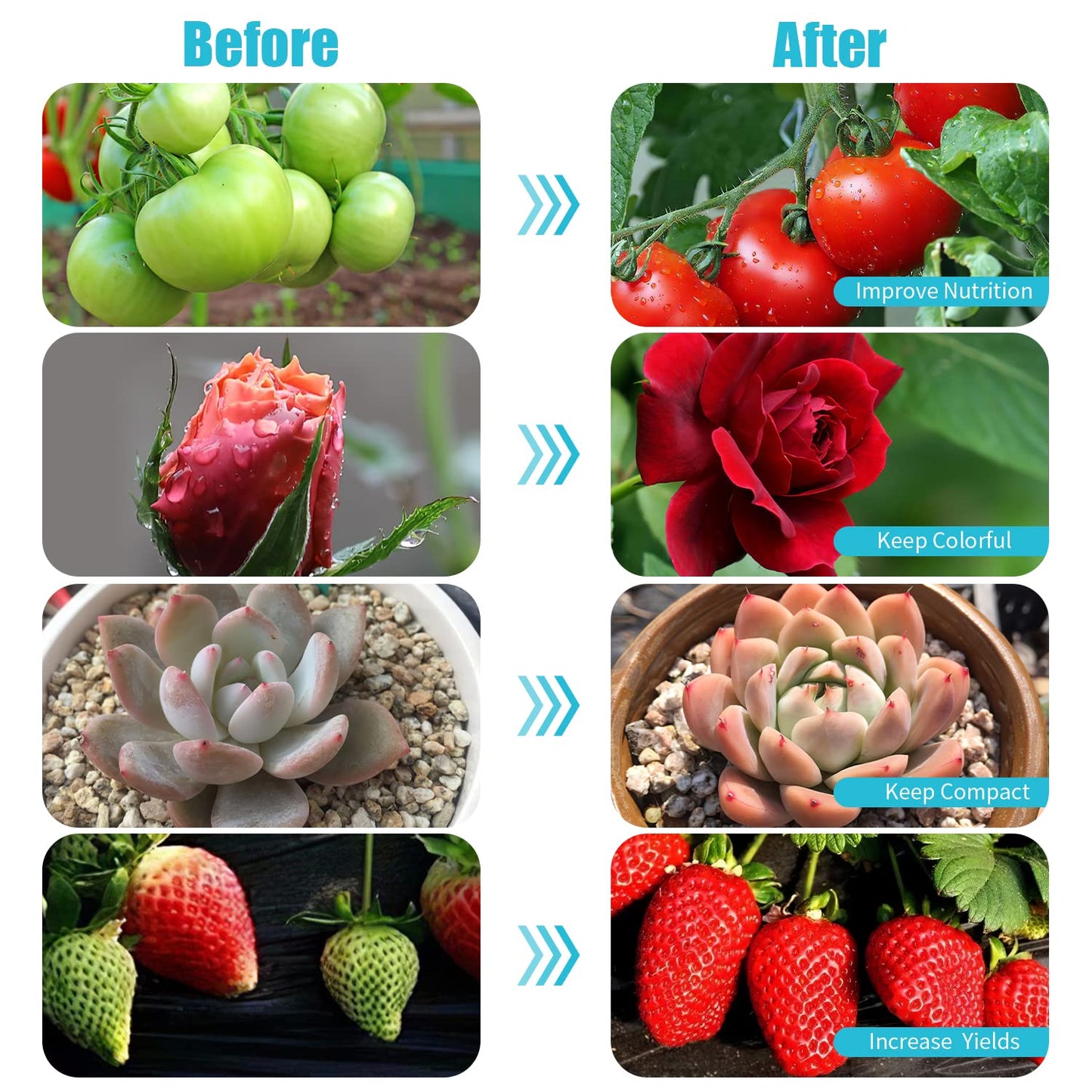 Hywyimlait Black Clip Grow Lights for Indoor Plants, 168 Full Spectrum LEDs Clip Plant Growing Lamps with Flexible Gooseneck and 4/8/12/18H Timer, 3 Spectral Modes, 10 Dimmable Levels (4 Head 1 Pack)