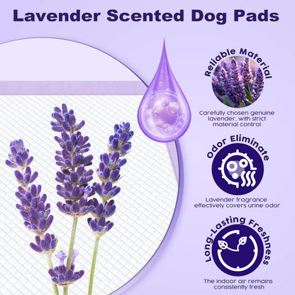 MIZOK Puppy Pads 60x90cm Puppy Traininig Pads Lavender Scented Odor Control Dog Pads Extra Large Super Absorption for Up to 6 Cups Leak-Proof Dog Training Pads with 6 Layers (50 Counts)