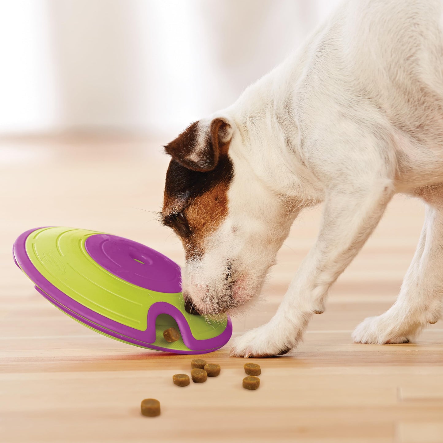 Outward Hound by Nina Ottosson Dog Treat Maze Dog Puzzle Enrichment Toy, Level 2 Intermediate, Green