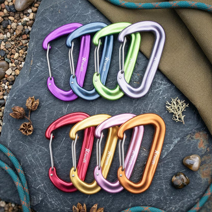 12kN Heavy Duty Carabiner Clips - Favofit 4-Pack 7075 Aluminum Small Carabiners with Snag-Free Wiregate - Lightweight D Ring Keychain Clip for Hammocks Camping Hiking Dog Leash
