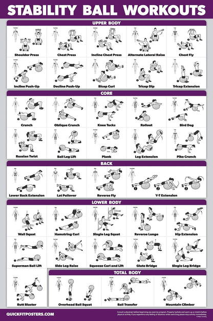 Palace Learning 2 Pack, Half Balance Ball Workout Poster + Yoga Ball Exercise Chart - Set of 2 Workout Posters (LAMINATED, 18" x 24")