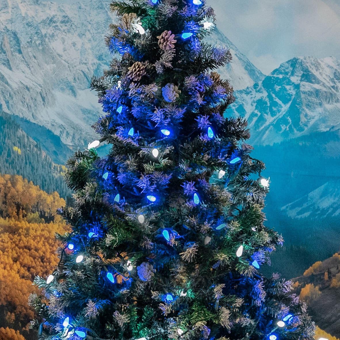 Novelty C6 70 LED Hanukkah & Christmas String Lights, 24FT Permanent comerc. Grade Lights (Blue/Pure White)