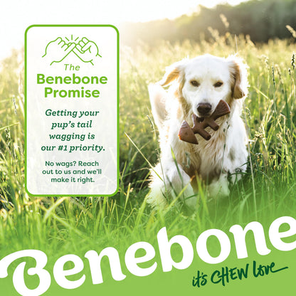 Benebone Indestructible Dog Chew Toy Gift Box for Aggressive Chewers with Wishbone, Fishbone, Stick & Zaggler, Long Lasting Boredom Breakers, 100% Real Flavours, For Small Dogs, Made in the USA.