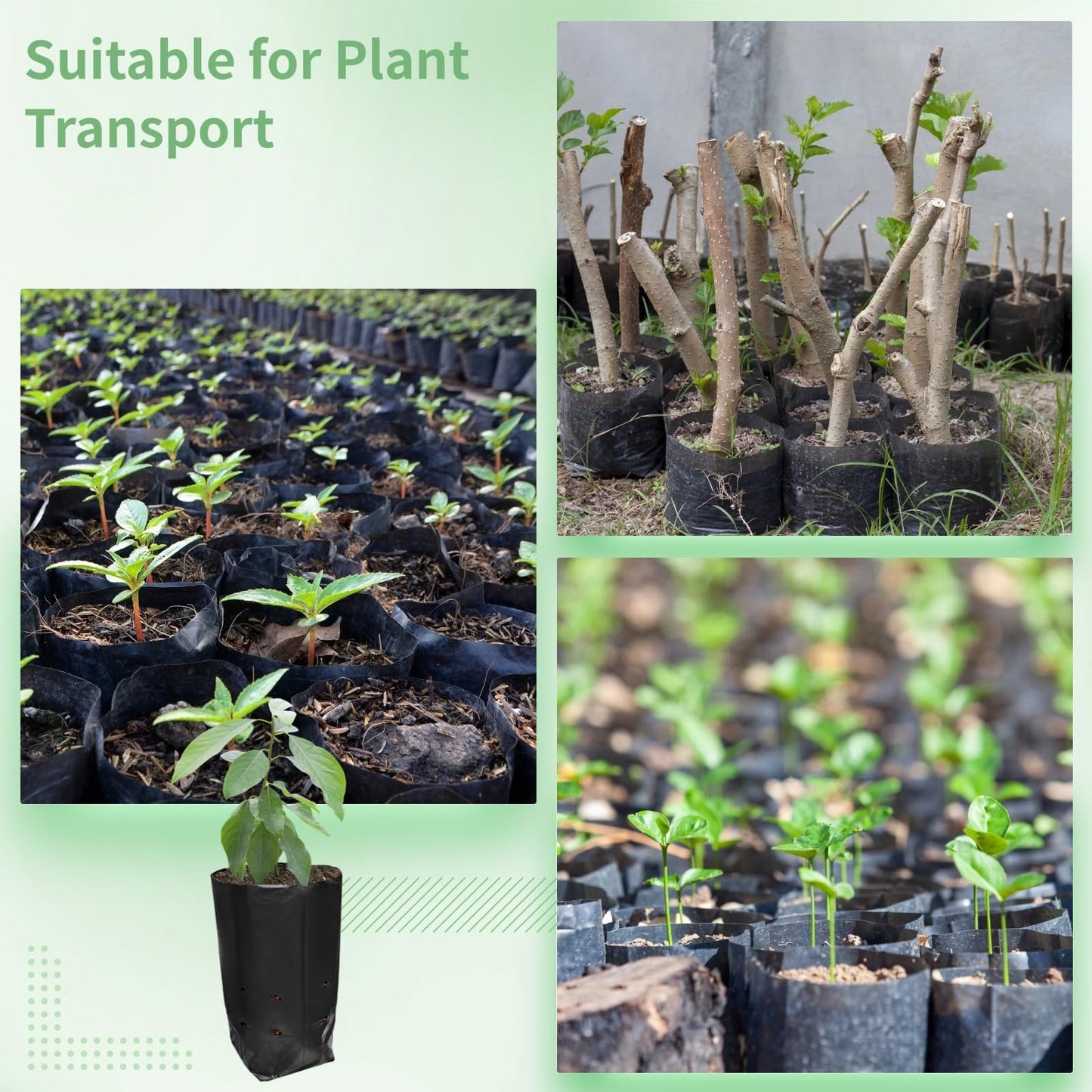 OMISTAR 100 PCS Plant Nursery Bags, Plastic Seedling Pots Container for Fruit Tree Flower Plant Grow, Plant Nursery Bags for Gardening Transplant