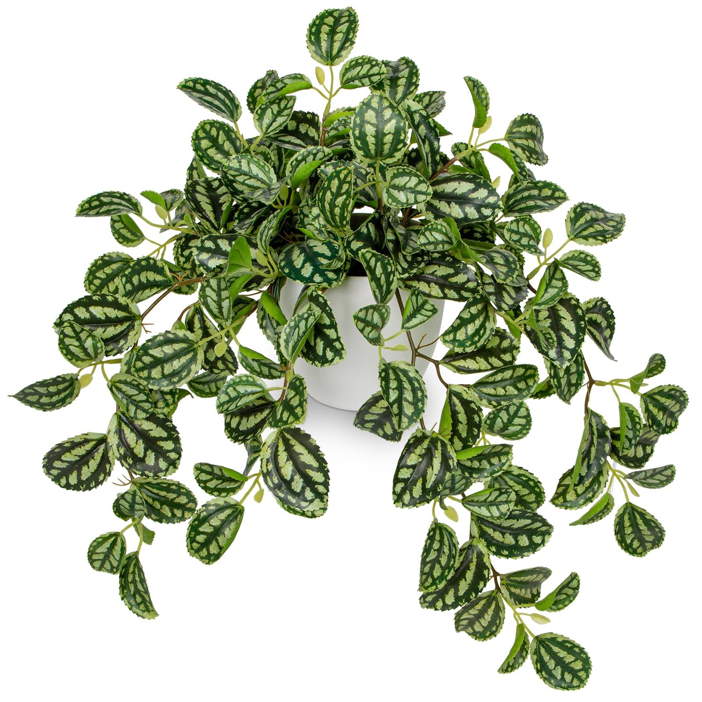 Briful Fake Plants Indoor Artificial Potted Silk Plants Faux Watermelon Peperomia Trailing Vine Plant for Home Office Livingroom Desk Shelf Mantle Decoration(Green/White - 1 Pack)