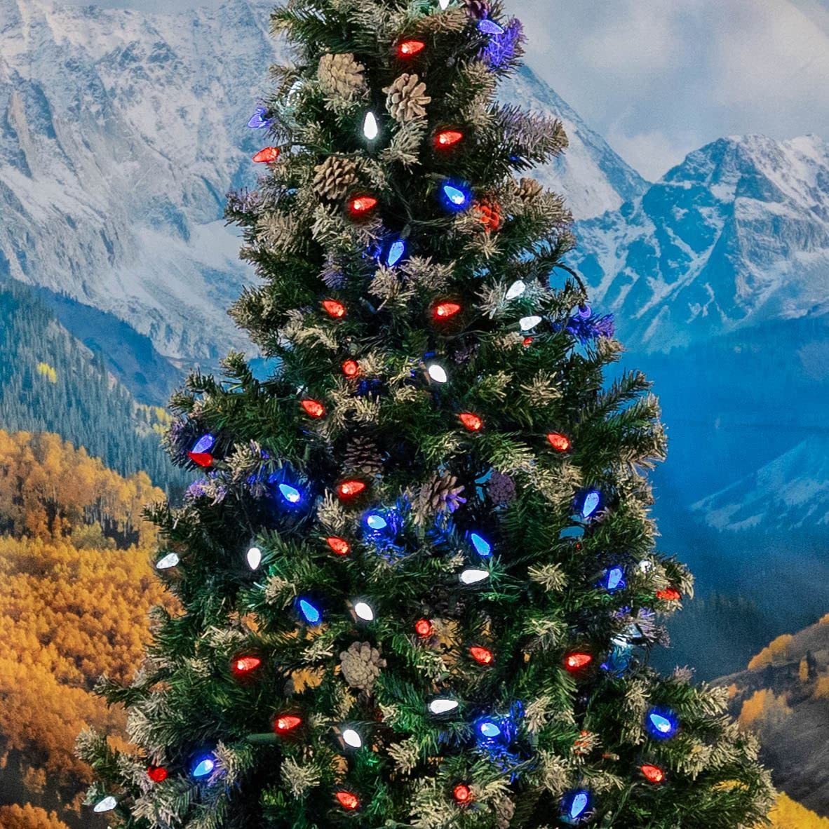Novelty Lights 24FT 70 LED C6 Outdoor USA String Lights, Commercial Grade Christmas Tree Decorations (Red/White/Blue)