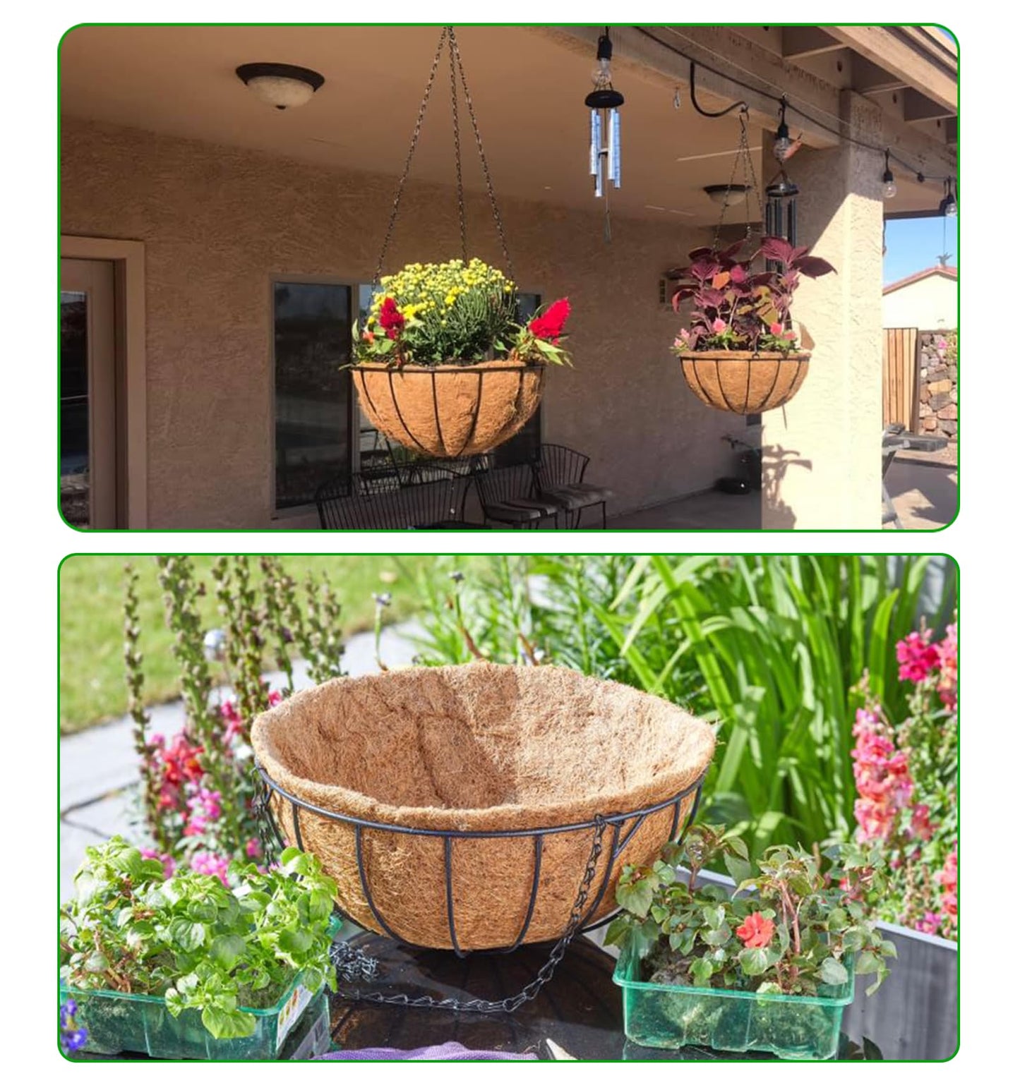 LCHUANG Hanging Baskets Planter for Plants - 2 Pack 10 Inch Metal Baskets with Coco Coir Liner, Hanging Flower Pots for Outside with Chain, Indoor Outdoor Garden Porch Decoration (10'' Pack of 2)