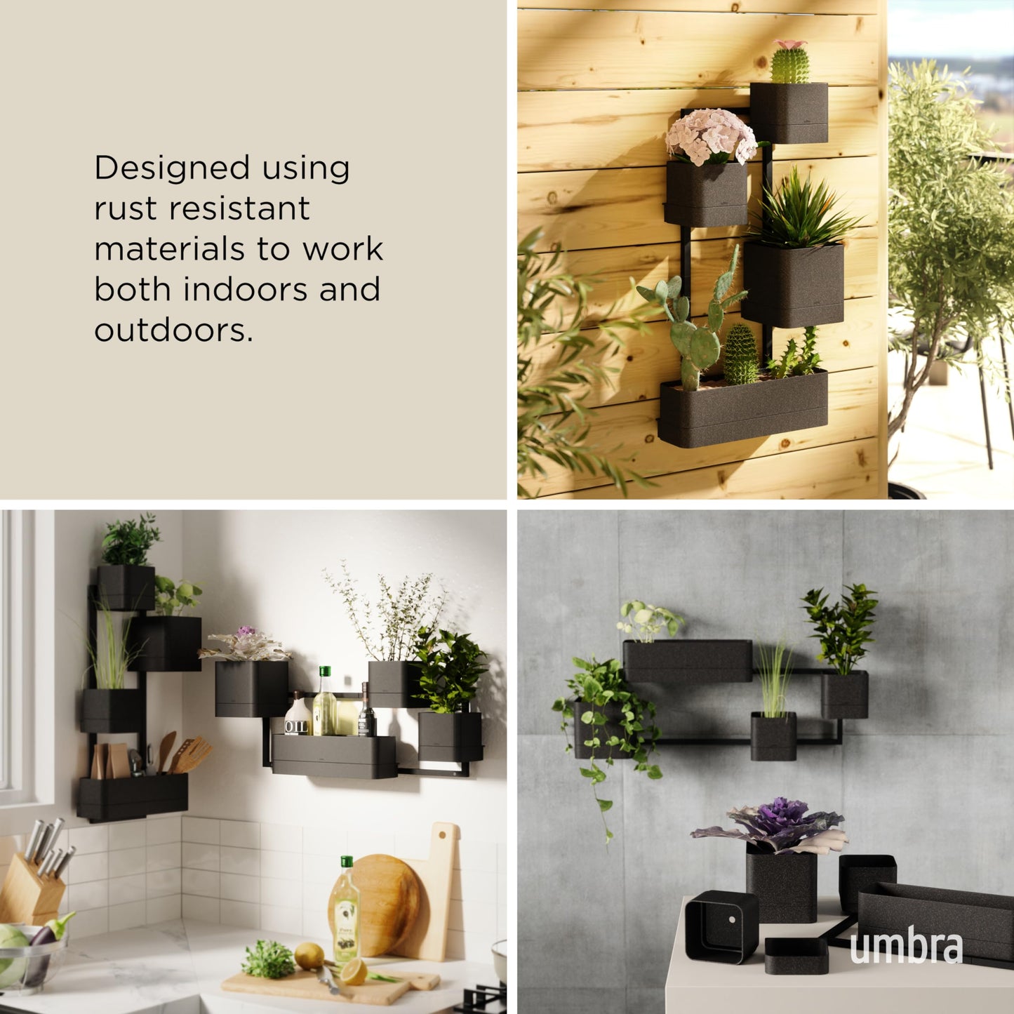 Umbra Cubiko Wall Planter with 4 Lightweight and Durable Pots (Black)
