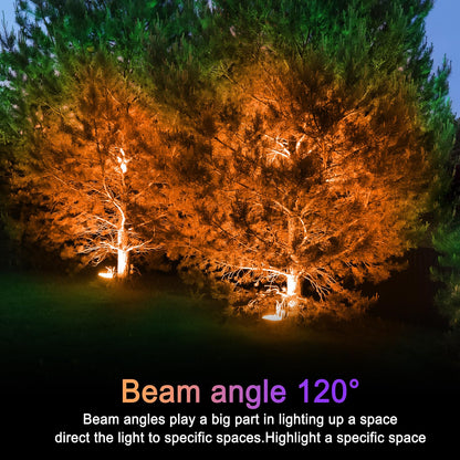 LOXYEE PAR38 Flood Orange Light Bulbs,4 Pack Dimmable,E26 Base Orange Flood Light Outoor(20W Replace to 200W),Halloween Light Bulb for Outside,Christmas,Holiday Lighting