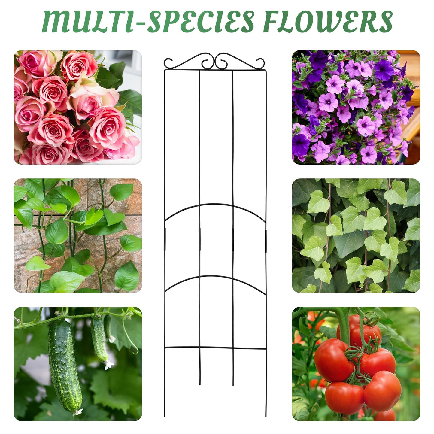 ANCOUUIN 4 Pack 32'' Plant Trellis Indoor - Metal Trellis for Climbing Plants Indoor, Garden Trellis for Climbing Plants Outdoor Houseplants Flowers Vine Ivy, Rectangular Shape, Black