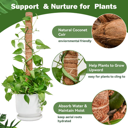 49 inch/125 cm Tall Moss Pole for Plants, SproutMaven 4 x 16 Inch/41 cm Monstera Moss Pole kit for Indoor Outdoor Climbing Plants Lianas to Grow Upwards