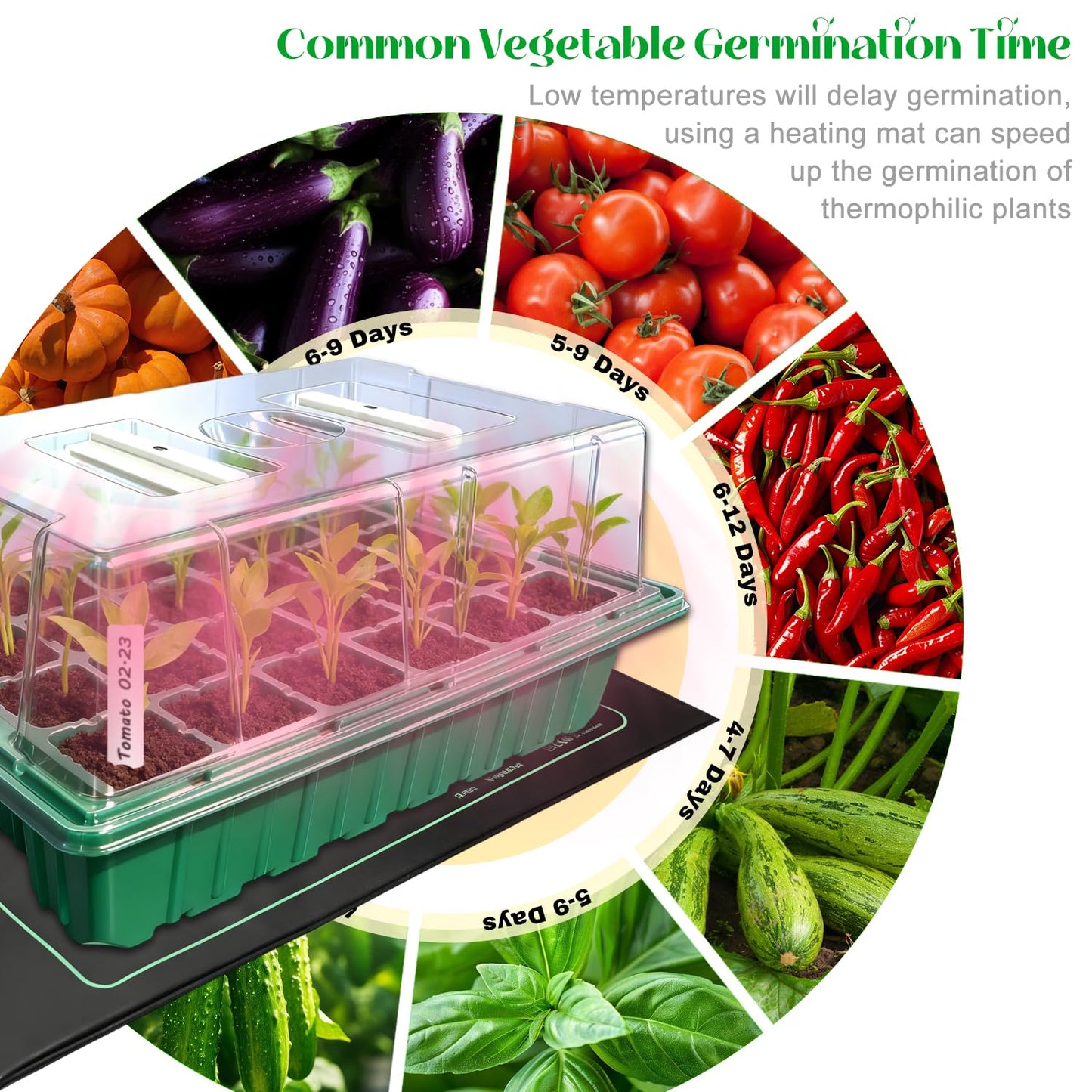 Seed Starter Tray with Grow Light and Heat Mat, Seed Starter Kit with Humidity Dome and Timing Controller, Adjustable Vent and Brightness, Ideal Germination Tray for Seed Starting and Seedling Growing