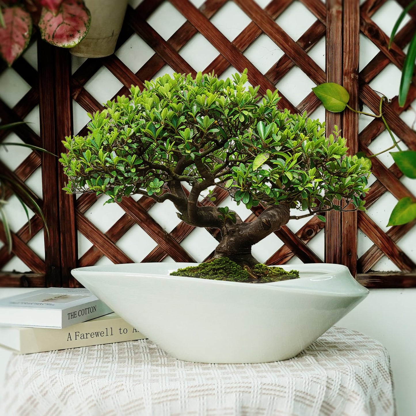 EPFamily 18 Inch Ceramic Bonsai Planter Pot with Drainage Hole, Glazed Large Plant Pot Succulent Planter for Indoor and Outdoor Plants Gray