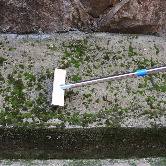 Stainless Steel Wire Scrub Brush