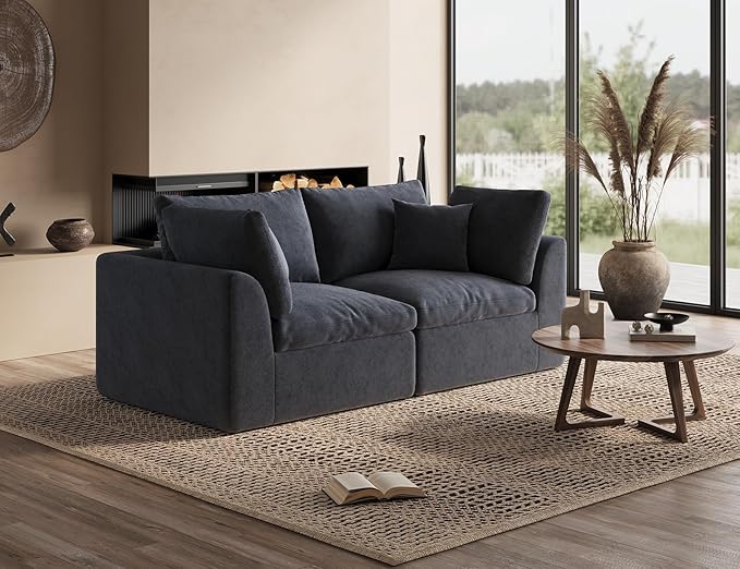 ohllob 78.9" Loveseat Sofa, Cloud Boneless Couches