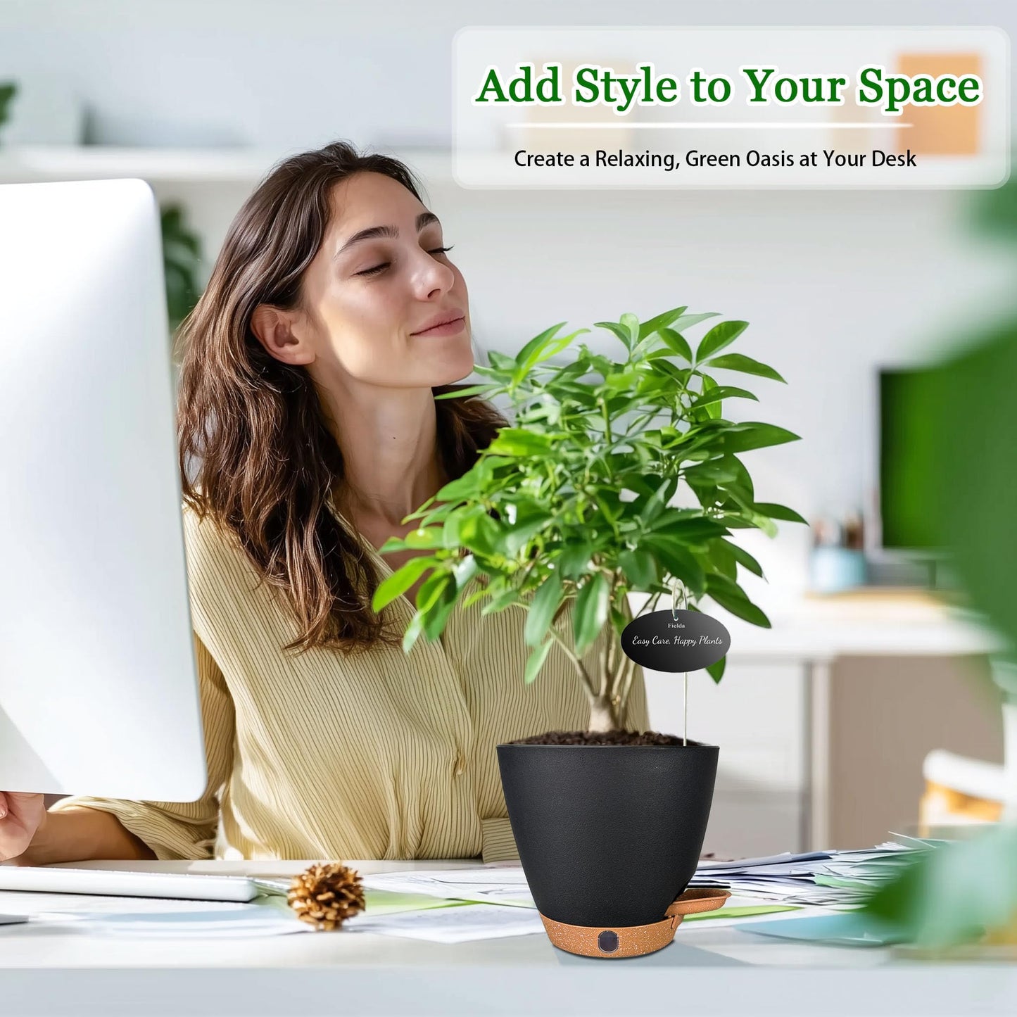 6 Inch Self Watering Pots for Indoor Plants(5-Pack) – Small Plastic Planters with Water Level Window, Drainage Holes & Detachable Trays, Indoor Outdoor Flower Pots for Herbs, Snake,Pothos(Black)