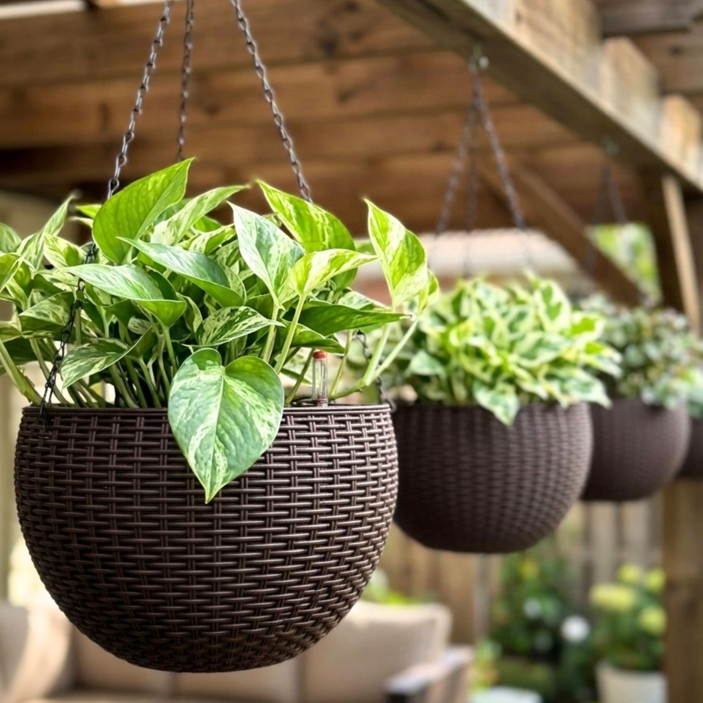 LaLaGreen Hanging Planters for Indoor Plants (11 Inch, 3 Pack) Brown Rattan Style Self-Watering Flower Pots with Water Level Indicator, Plastic Baskets with Metal Chain for Balcony, Porch Garden Decor
