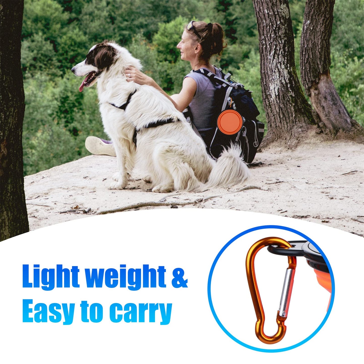 Dog Bowl Pet Collapsible Bowls, 2 Pack for Cats Dogs, Portable Pet Feeding Watering Dish for Walking Parking Traveling with 2 Carabiners (Small, Blue+Green)