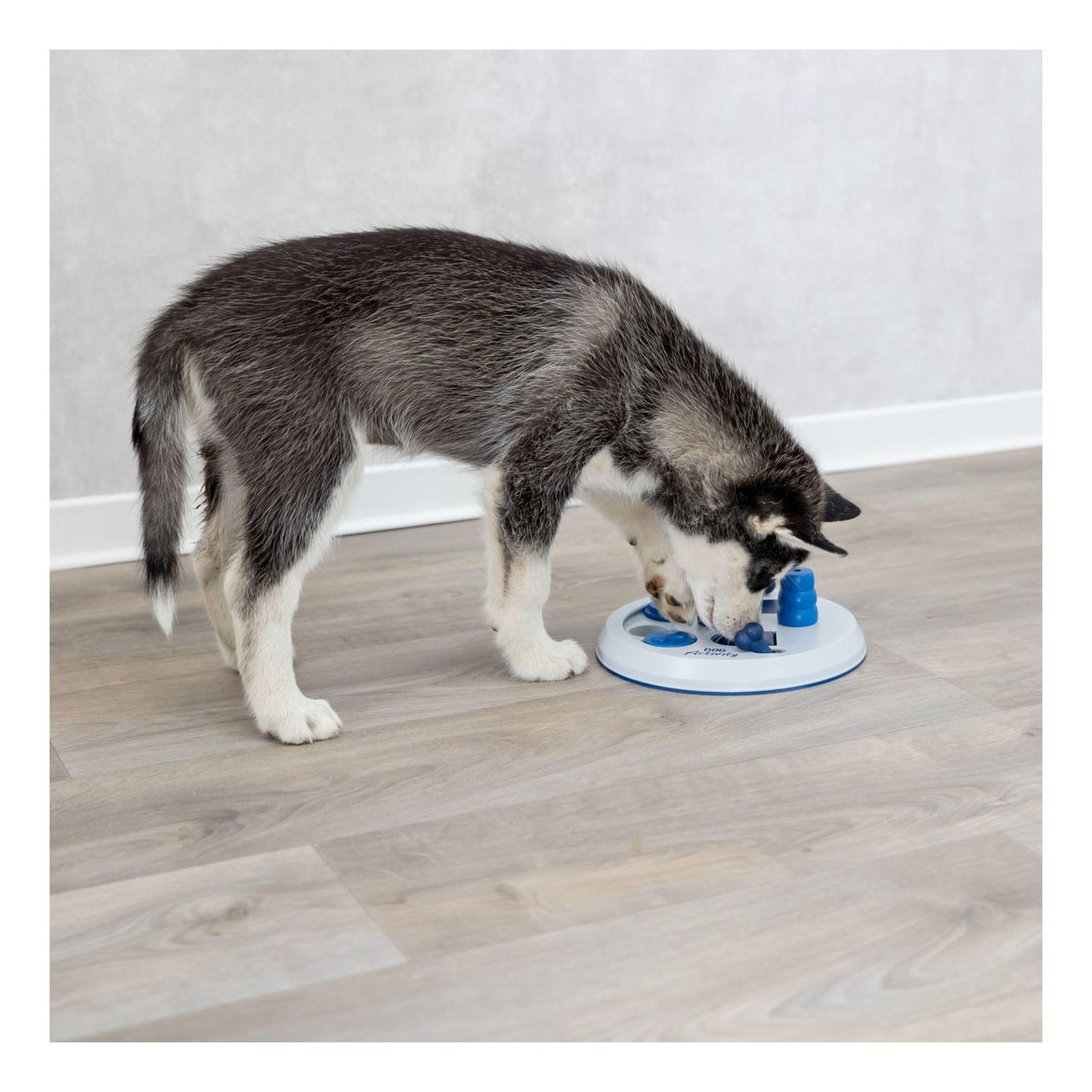 TRIXIE Flip Board Dog Enrichment Toy, Intermediate Level 2 Dog Puzzle, Interactive Treat Game