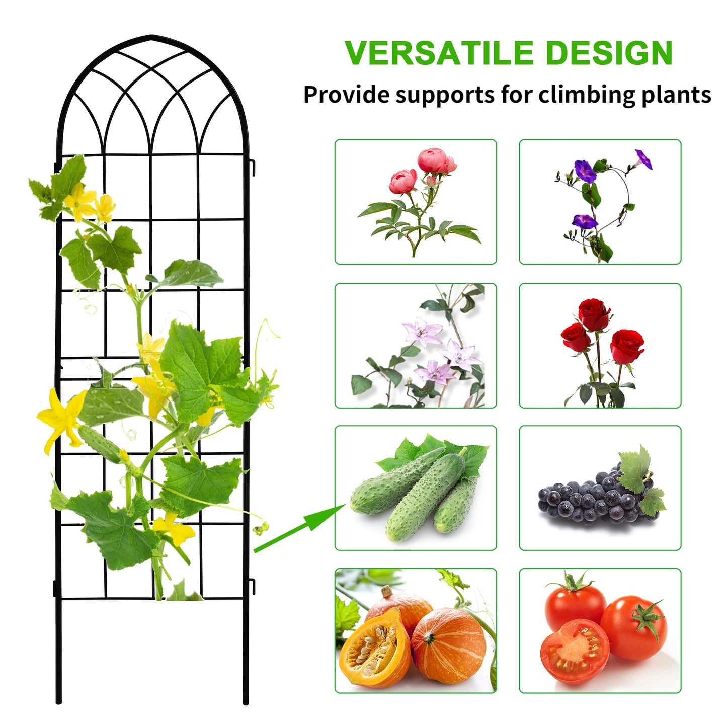 LZRS 2 Pack 71x20in Rustic Iron Arch Decoration Garden Trellis with Black Metal Coating – Perfect for Supporting Climbing Plants Outdoor, Roses, Vines, Flowers, and Vegetables.