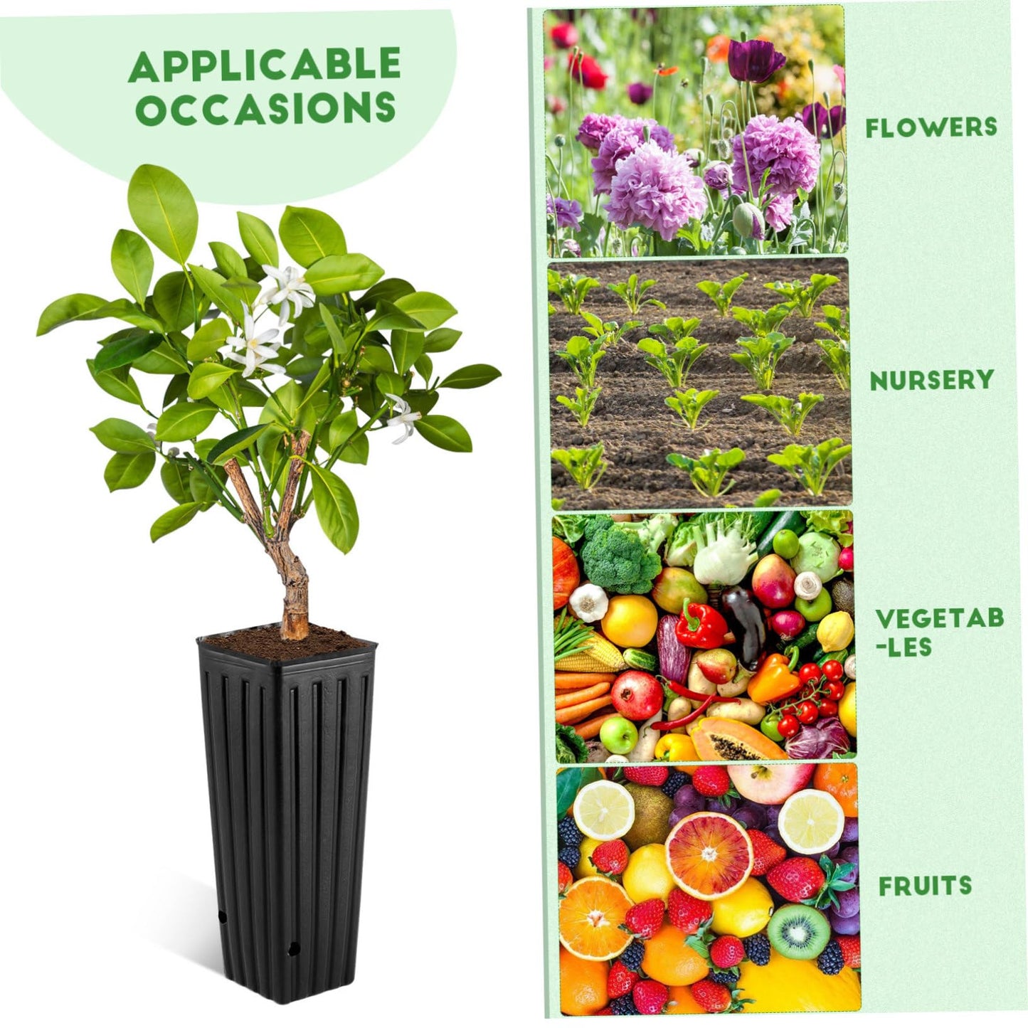 YARNOW 50 Pcs Tall Nursery Pots Plastic Nursery Pots Deep Nursery Pots Plastic Grow Bags, with Drainage Holes (4.7" W x 11.2'' H)